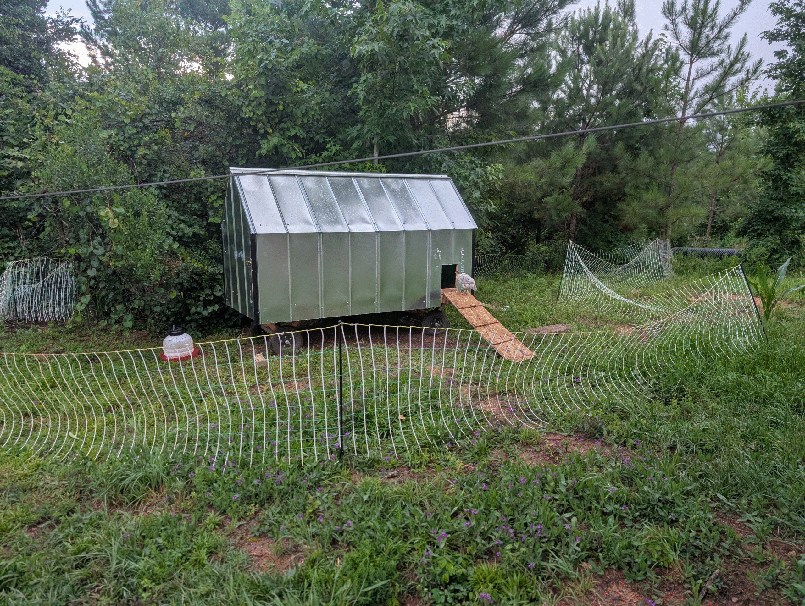 Mobile Chicken Wagon Blueprint (Digital Download)